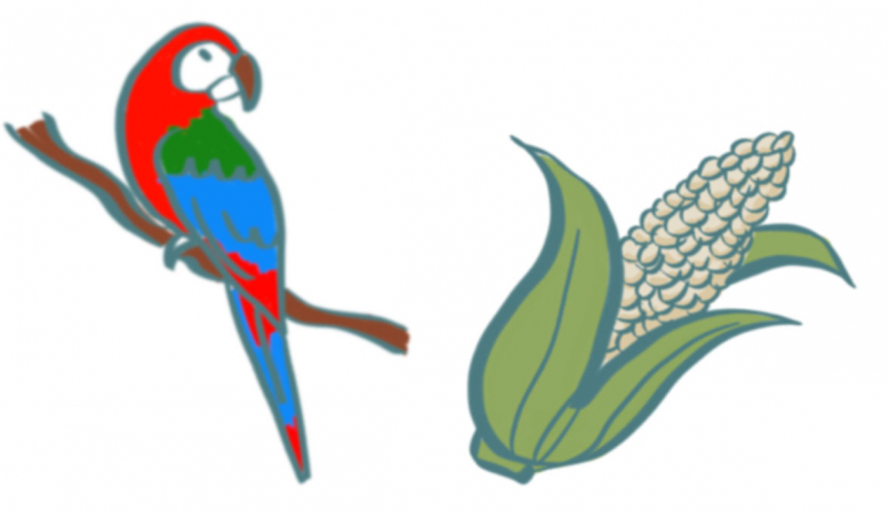 Figures 1 et 2. Détails des planches de facilitation graphique