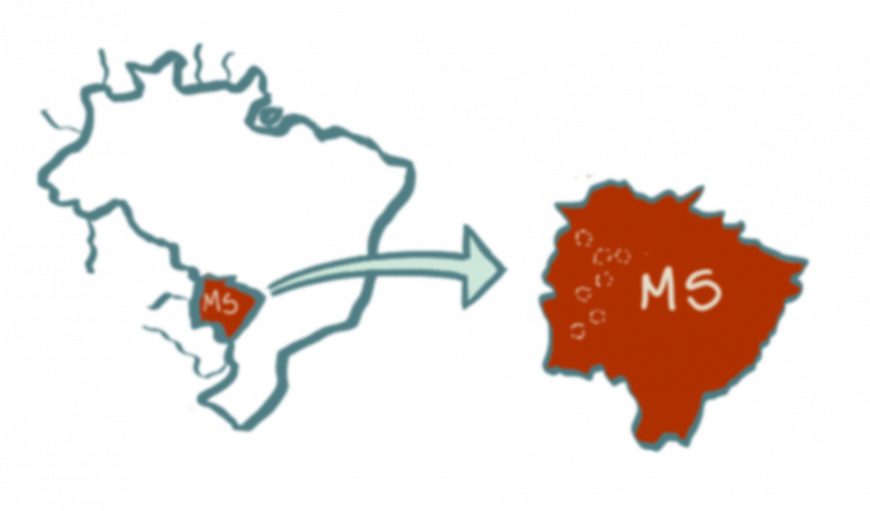 Figure 4. Détail de planches de facilitation graphique