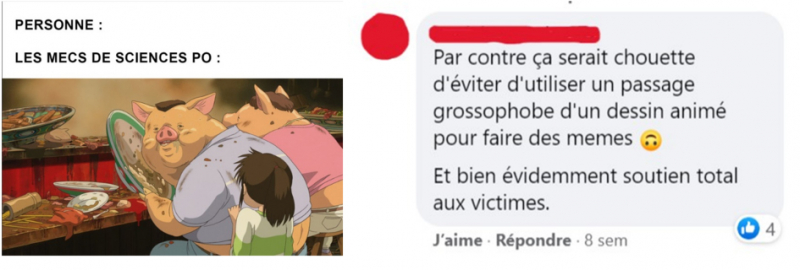 Figure 5. À gauche, un mème publié sur Neurchi de Memes de Meuf qui compare les étudiants de Science Po à des cochons. À droite, un commentaire critique posté sous le mème.